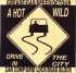 Beck - A Hot Wild Drive In The City