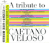 Beck - A Tribute To Caetano Veloso